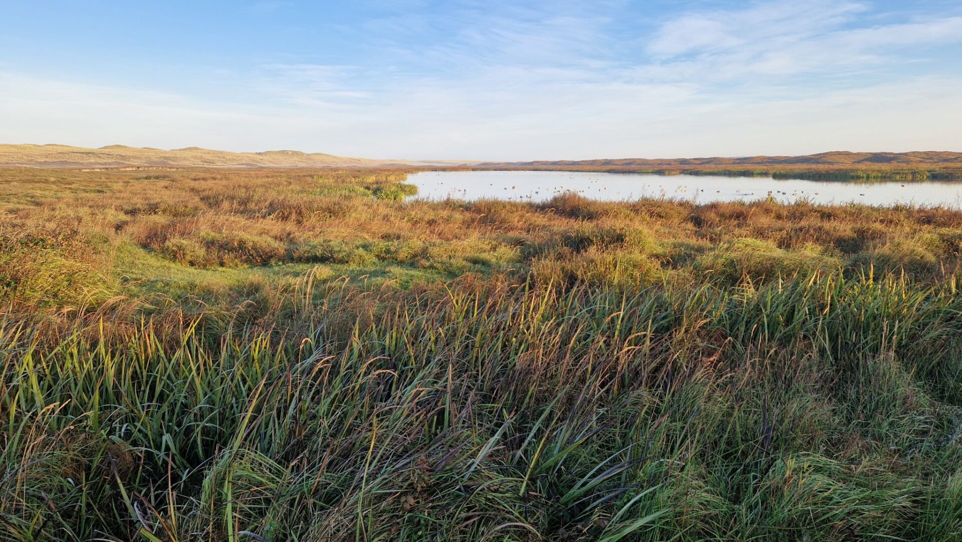 Landschap
