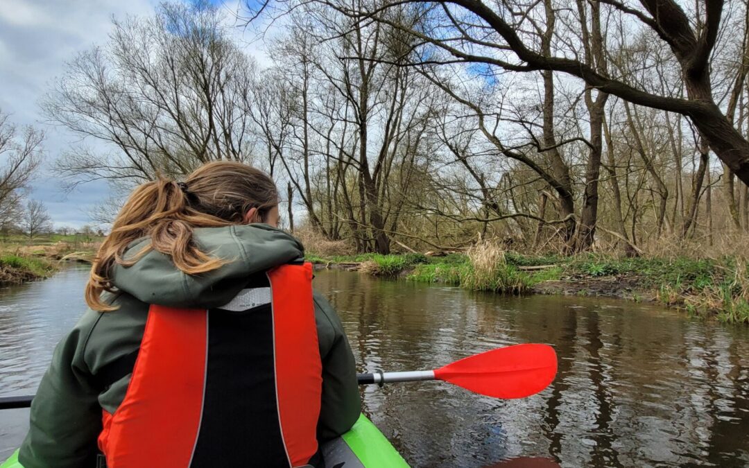 Inventarisatie aantal bevers in Limburg
