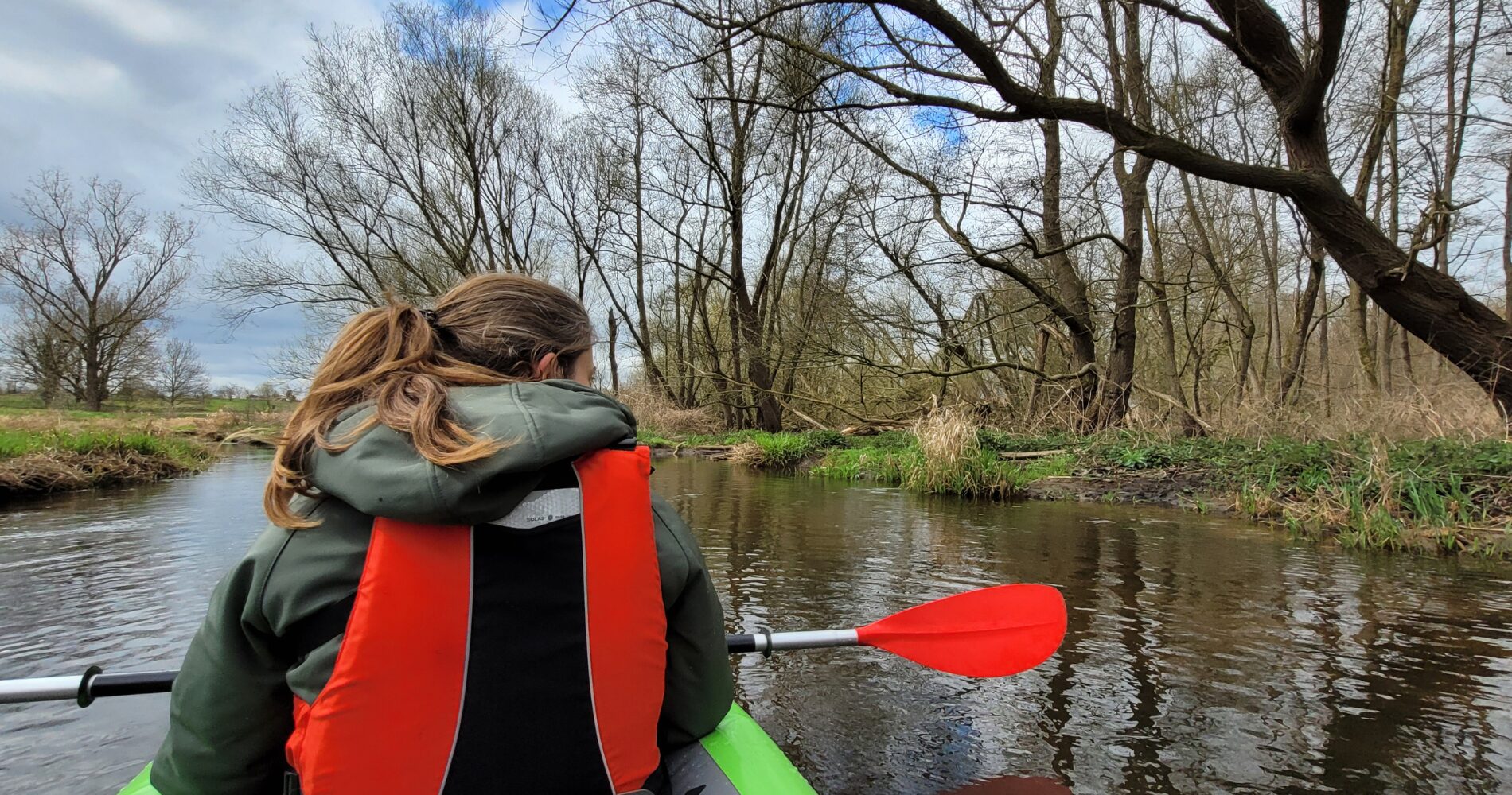 Inventarisatie aantal bevers in Limburg